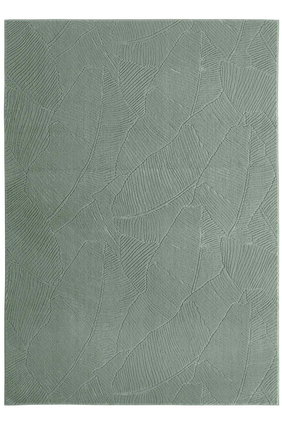 #idx_1#rolle_f#größe_050x080 cm
