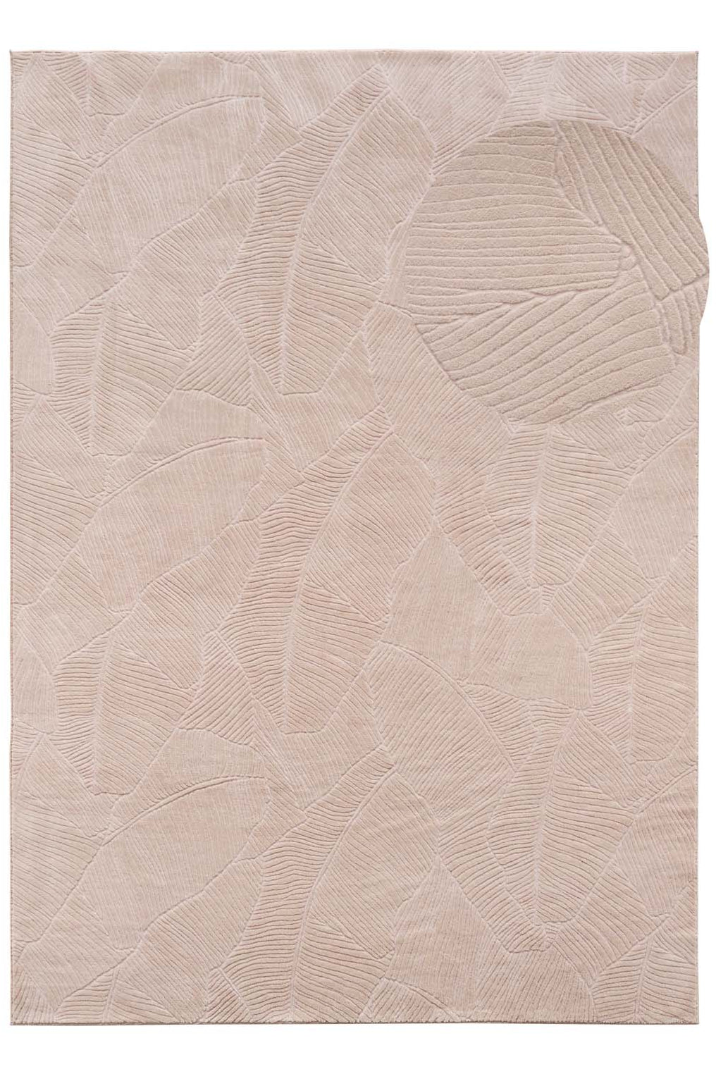 #idx_1#rolle_f#größe_050x080 cm