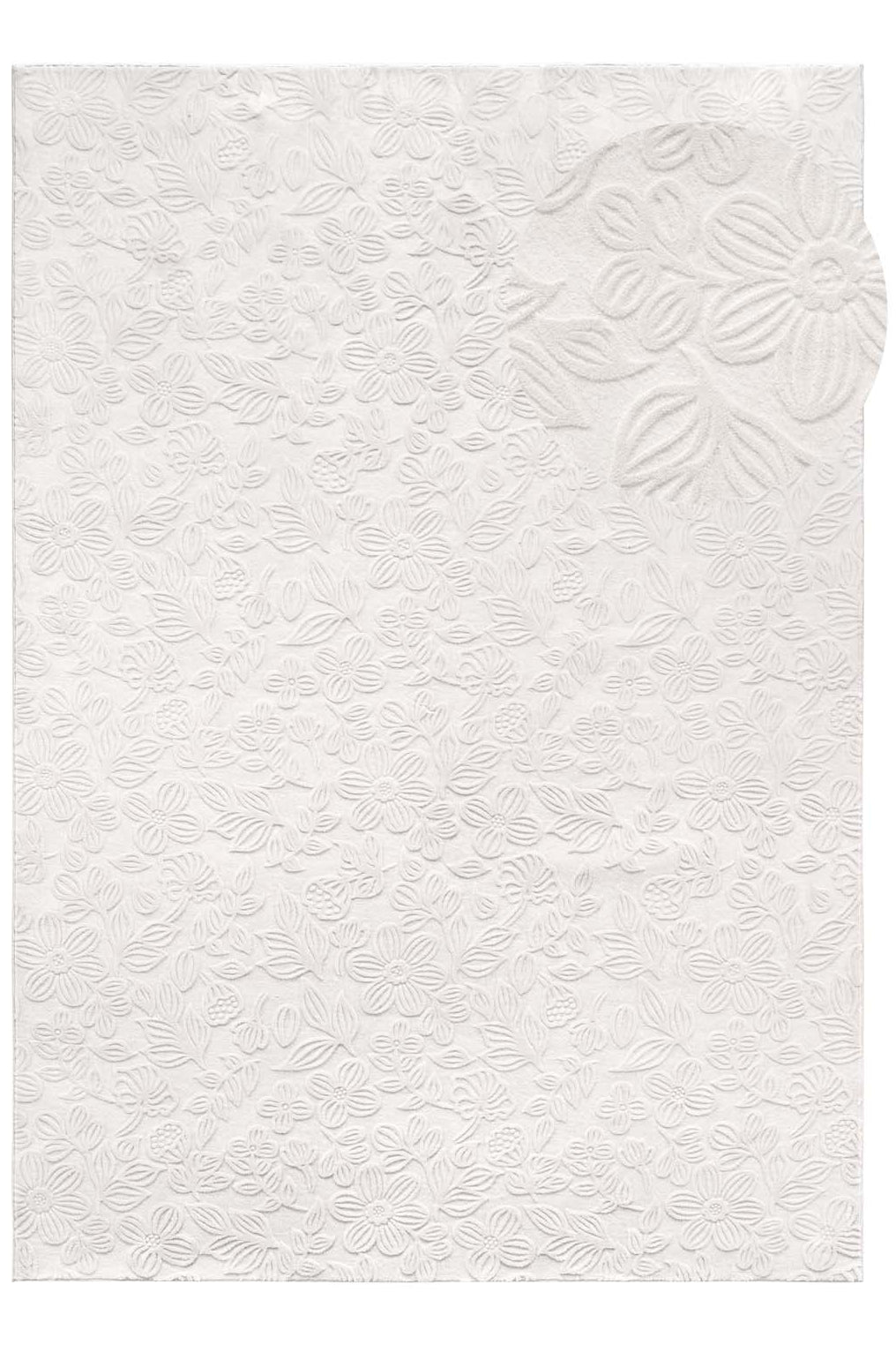 #idx_1#rolle_f#größe_050x080 cm
