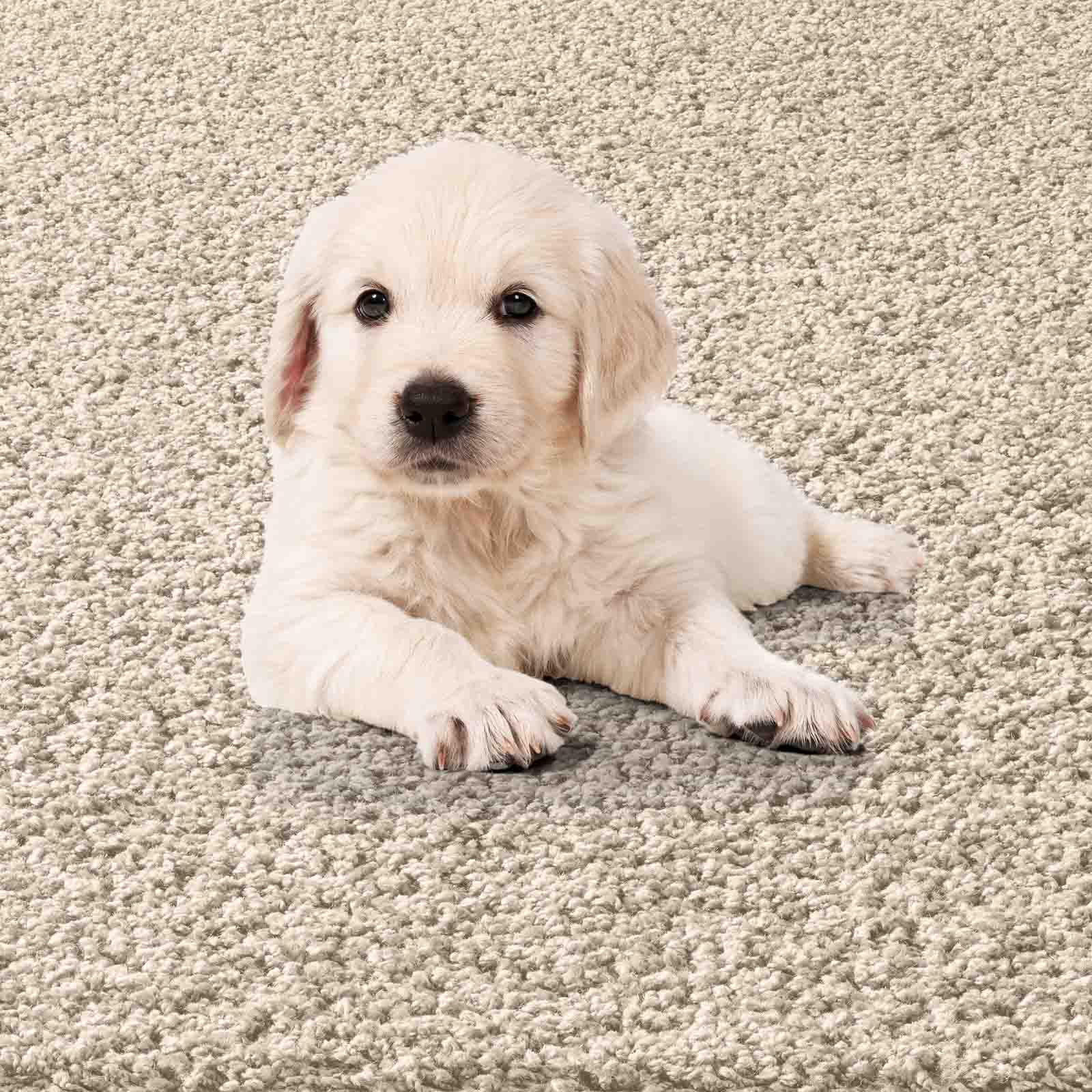 #idx_5#größe_120x120 cm rund