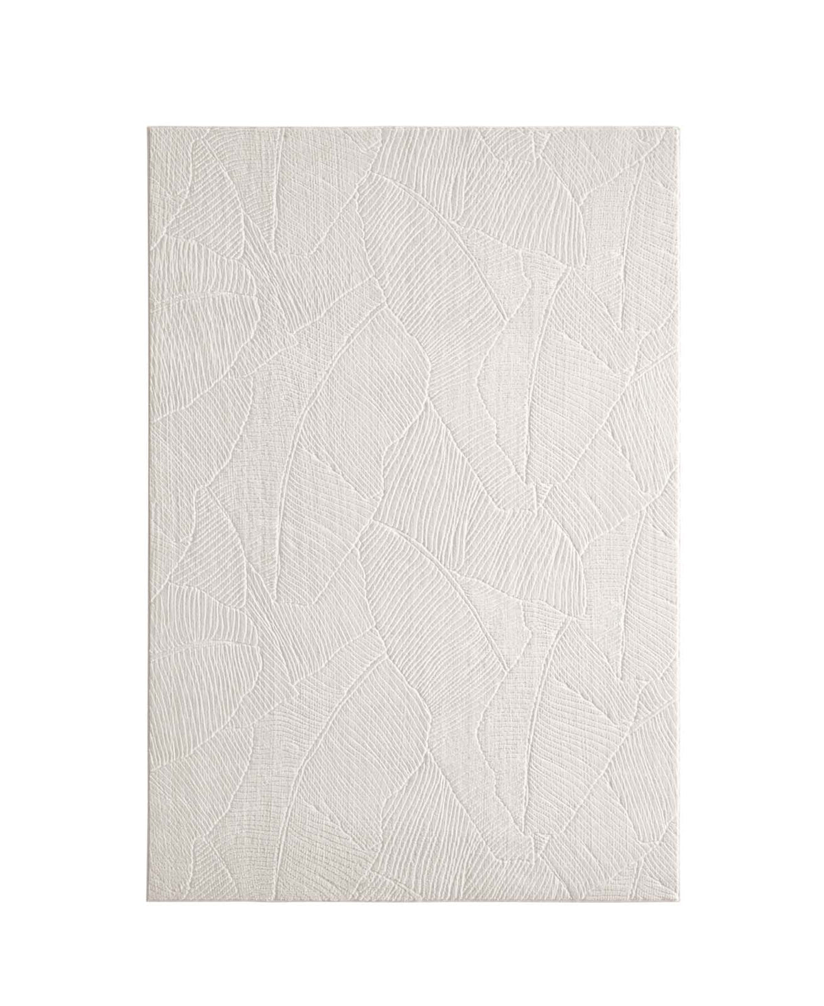 #idx_2#größe_120x170 cm