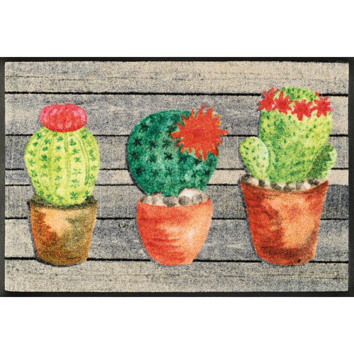 wash-and-dry Matte Jardin de Cactus 050x075 cm